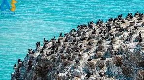 دریاچه نمک چاکا در چین